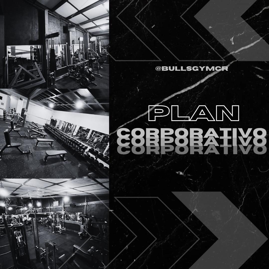 Plan Corporativo