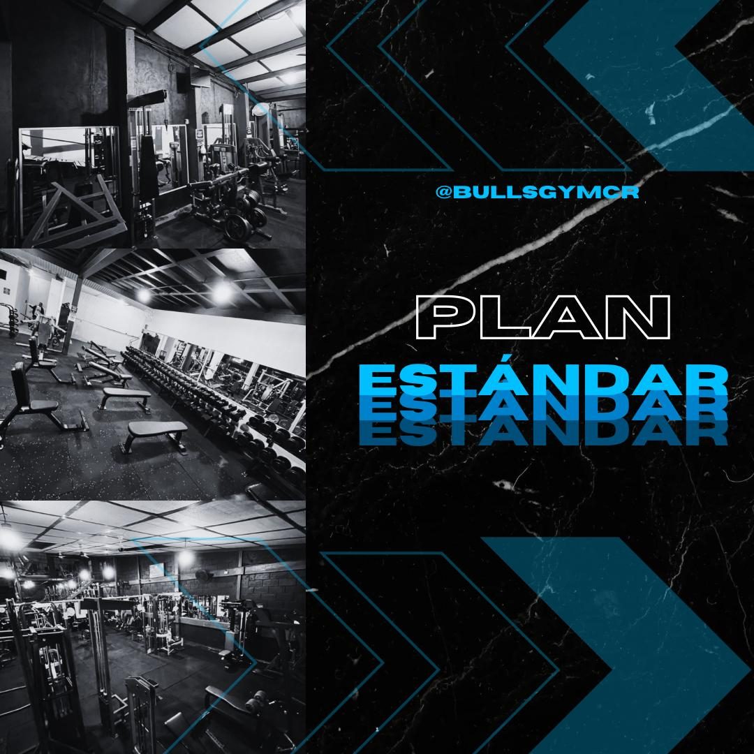 Plan Estándar