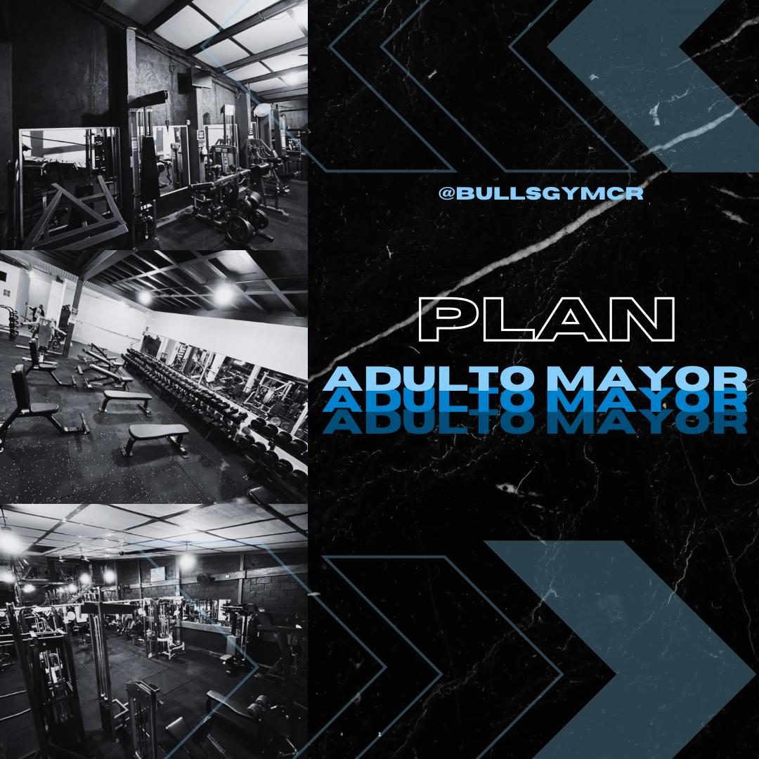 Plan Adulto Mayor