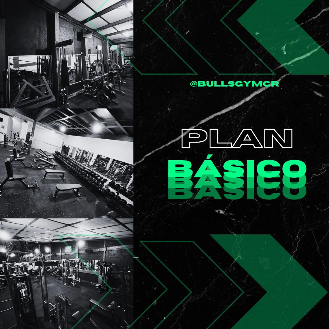 Plan Básico