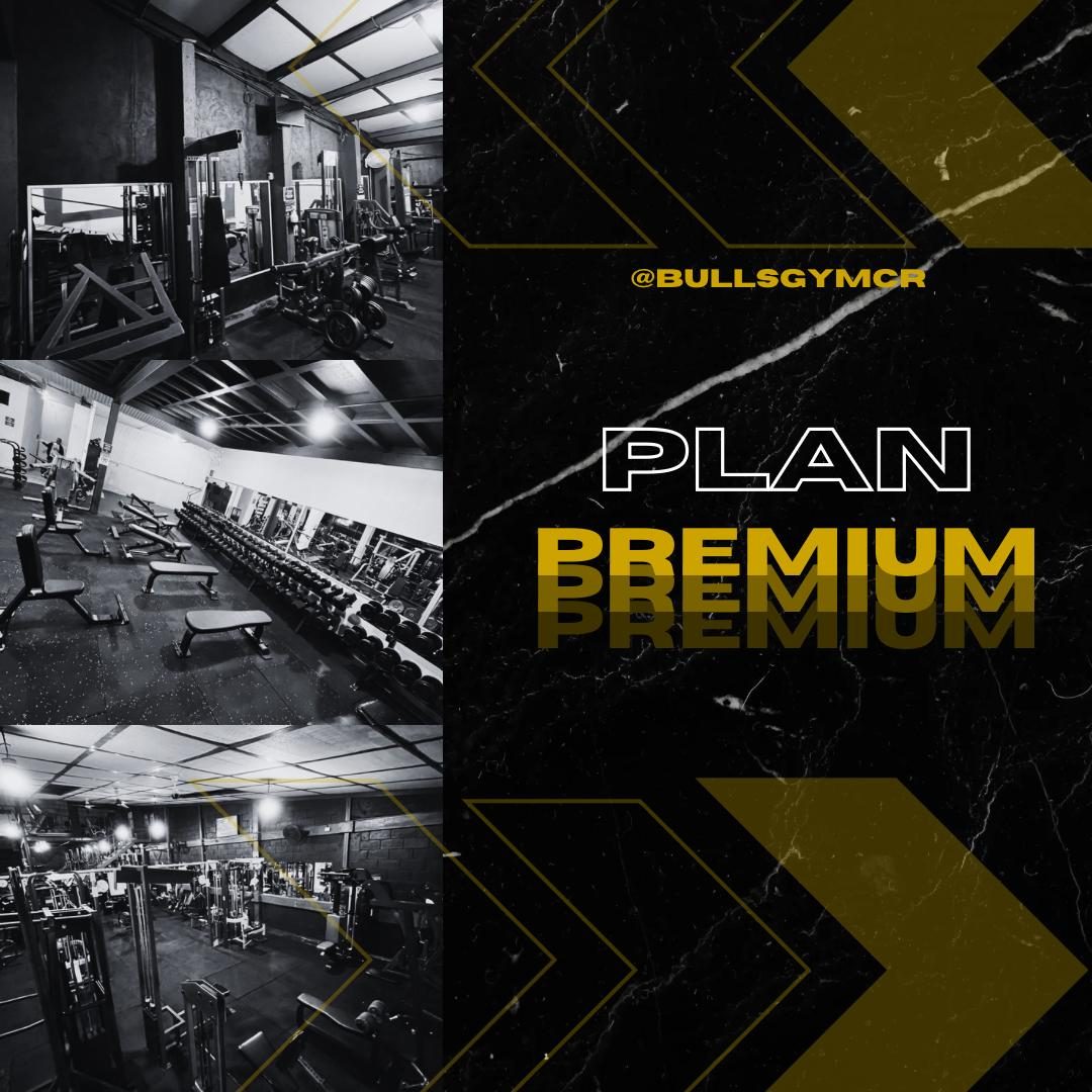 Plan Premium