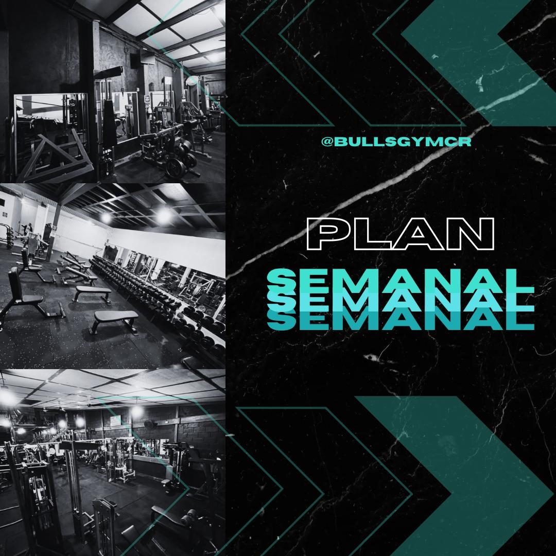 Plan Semanal