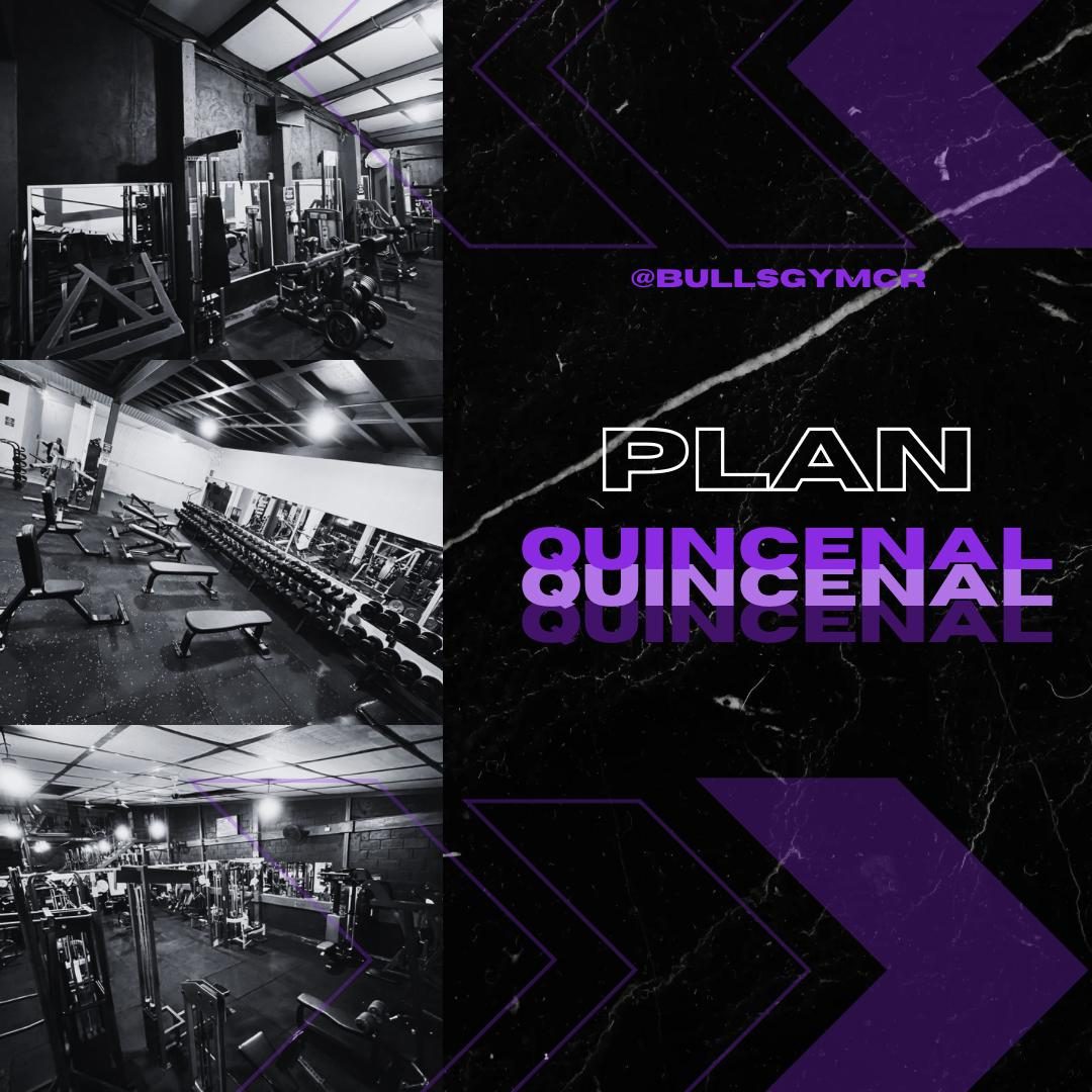 Plan Quincenal